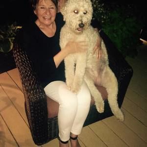 Meet your Posher, Jerry